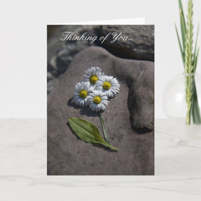 'Daisy' Thinking of You.. Card (Front)