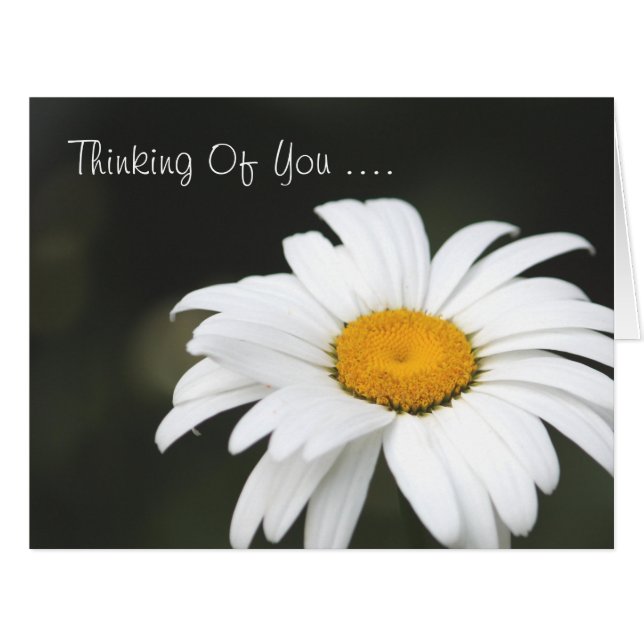 Daisy Thinking Of You Card (Front Horizontal)