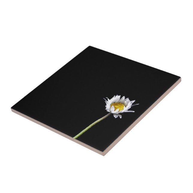 Daisy Tile (Side)