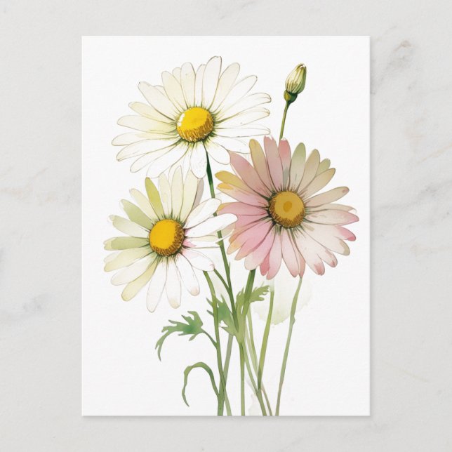 Daisy Watercolor Flower Modern Professional Postcard (Front)