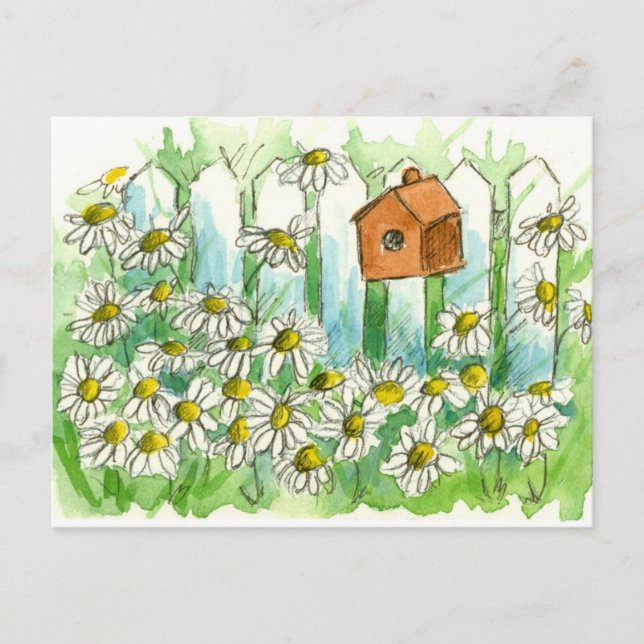 Daisy Watercolor Flowers Bird House Postcard (Front)