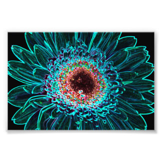 Daisy with abstract effect photo print