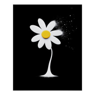 Daisy With Black Background Poster