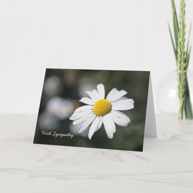 Daisy, With Sympathy Card (Front)