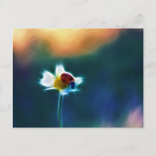 Daisybug Postcard