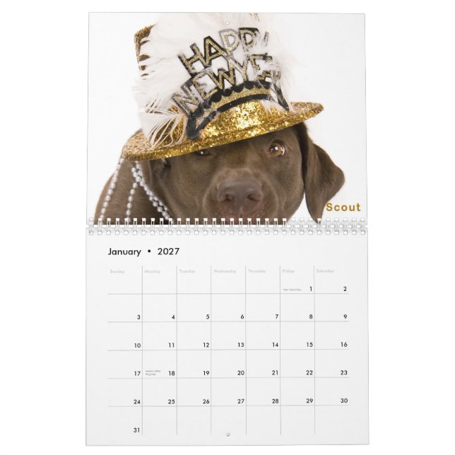 DaisyCares Calendar 2011 (Jan 2027)