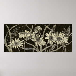 Daisy's Poster