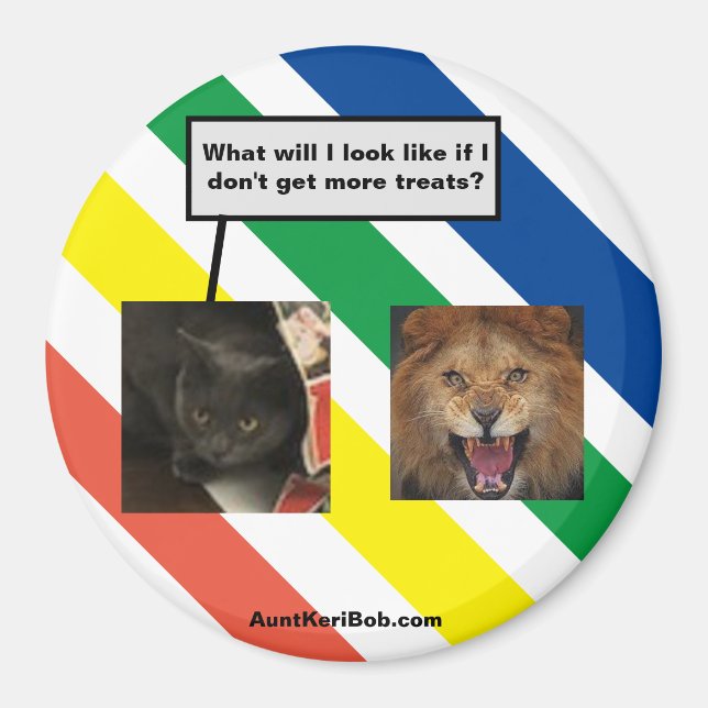 Dakota in the Future Magnet (Front)