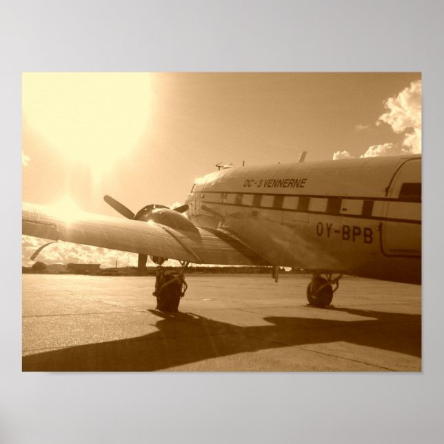 "Dakota Longing For The Sky In The Evening Sun" Poster (Front)