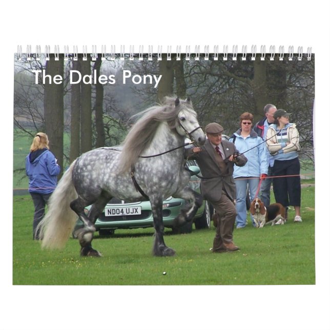 Dales Pony Calendar (Cover)