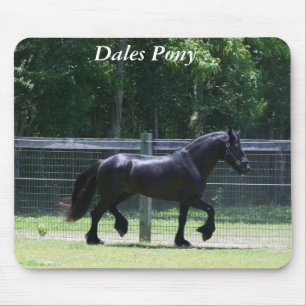 Dales Pony Trot Mouse Pad