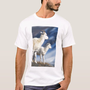 dall sheep, Ovis dalli, ewe and lamb T-Shirt