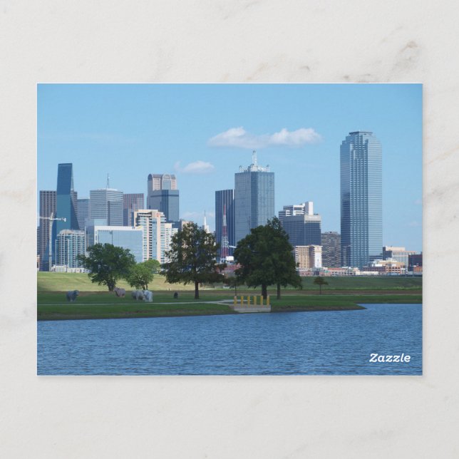 Dallas,Texas Postcard (Back)