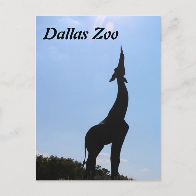 Dallas Zoo Postcard (Front)