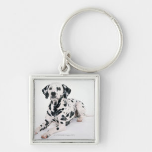 Dalmatian 4 key ring
