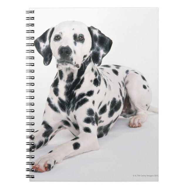 Dalmatian 4 spiral notebook (Front)