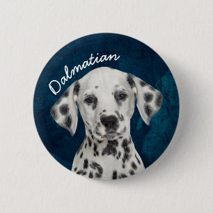 Dalmatian 6 Cm Round Badge