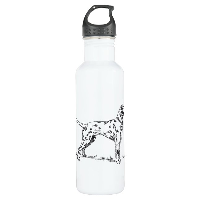 Dalmatian 710 Ml Water Bottle (Front)