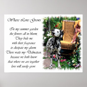 Dalmatian Art Print