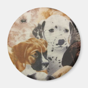 Dalmatian & Boxer Pups Magnet
