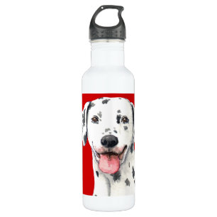 Dalmatian Colour Block 710 Ml Water Bottle