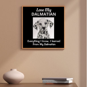 Dalmatian Custom Poster