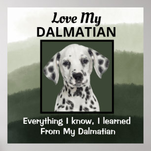 Dalmatian Custom Poster
