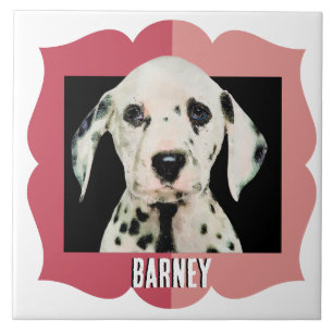 Dalmatian customised pattern photo frame tile