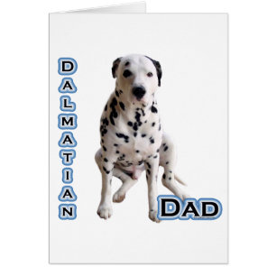 Dalmatian Dad 4