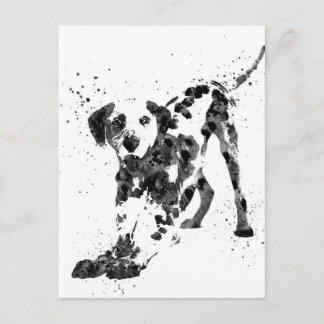 Dalmatian, Dalmatian dog, watercolor Dalmatian Postcard