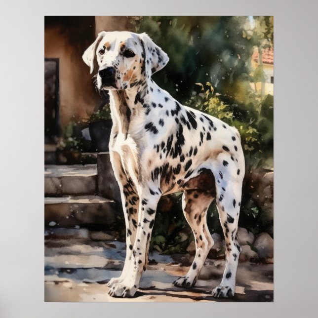 Dalmatian Dog Art Print Poster  (Front)