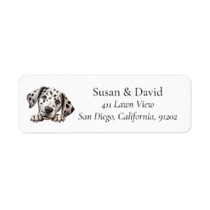 Dalmatian Dog Breed Pet Lovers