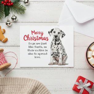 Dalmatian Dog Holiday Card