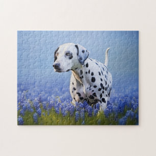 Dalmatian dog jigsaw puzzle