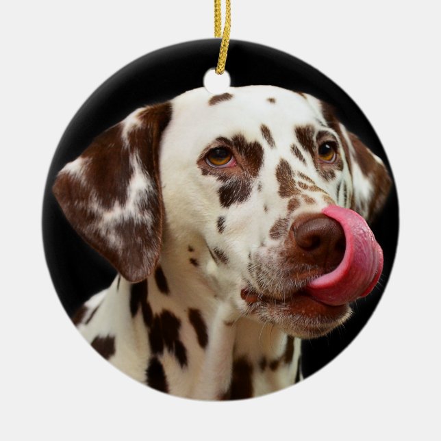 Dalmatian Dog Licking Ceramic Tree Decoration (Front)
