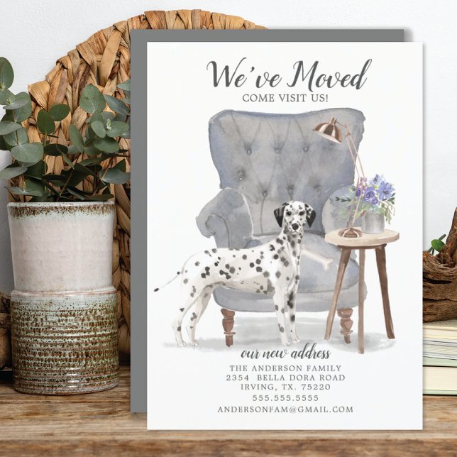 Dalmatian Dog | Moving Announcement (Creator Uploaded)