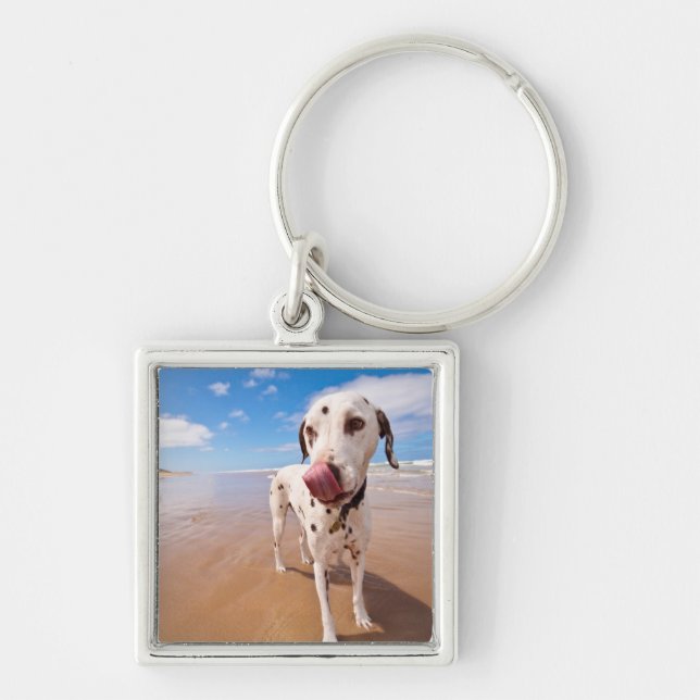 Dalmatian Dog On Beach Key Ring (Front)