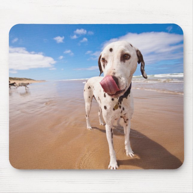 Dalmatian Dog On Beach Mouse Pad (Front)
