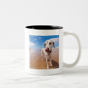 Dalmatian Dog On Beach Two-Tone Coffee Mug