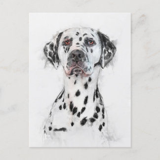 Dalmatian Dog Portrait Postcard
