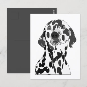 Dalmatian Dog  Postcard