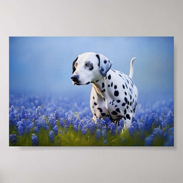 Dalmatian dog poster (Front)