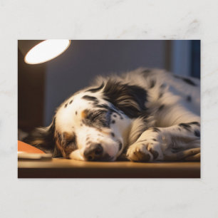 DALMATIAN DOG SLEEPING POSTCROSSING POSTCARD