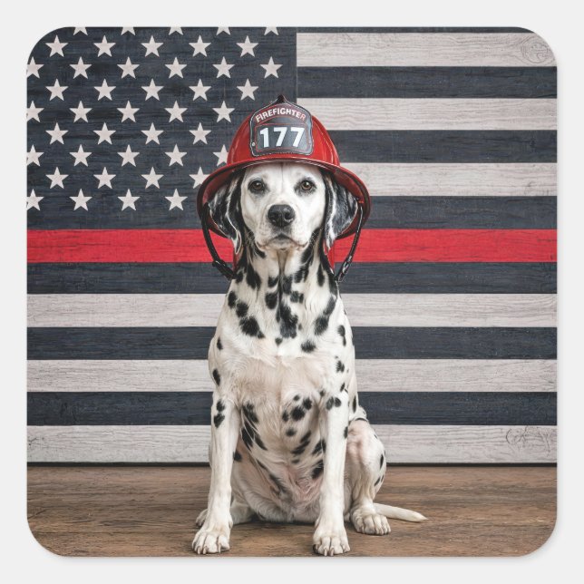 Dalmatian Dog Wearing a Fireman Helmet Square Sticker (Front)