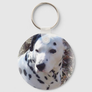 Dalmatian Fire Dog Keychain