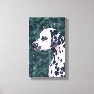 Dalmatian Headstudy -- Grunt Canvas Print