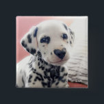 Dalmatian Heart Nose 15 Cm Square Badge<br><div class="desc">You have my heart! | Avanti,  the Global Humor Brand™ has been entertaining the world with its Feel Good Funny greeting cards for over 40 years. Our characters live life to the fullest and celebrate the humor in everyday life.</div>
