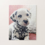 Dalmatian Heart Nose Jigsaw Puzzle<br><div class="desc">You have my heart! | Avanti,  the Global Humor Brand™ has been entertaining the world with its Feel Good Funny greeting cards for over 40 years. Our characters live life to the fullest and celebrate the humor in everyday life.</div>