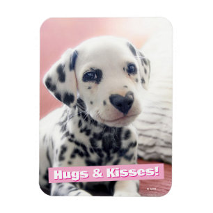 Dalmatian Heart Nose Magnet