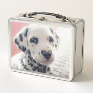 Dalmatian Heart Nose Metal Lunch Box